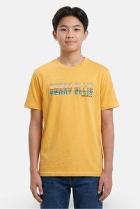 Related product image Perry Ellis T-Shirts
