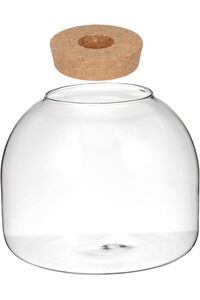 صورة المنتج ذات الصلة Generic مزهريات