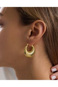 Related product image Silver Steel Earrings