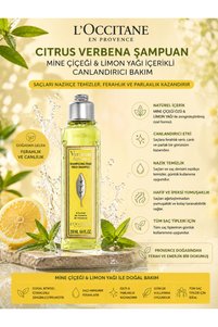 Related product image L'Occitane Shampoos