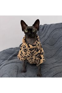 Related product image Choice Dog Clothes