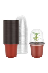 Related product image Choice Flower Pot