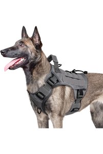 Related product image Choice Dog Collars
