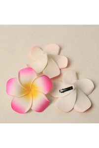 Related product image Choice Hair Clips