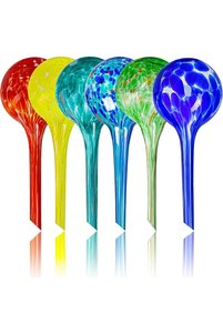 Related product image Flower Bulbs