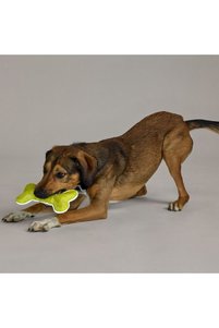 Related product image Tchibo Dog Toys