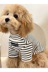 Related product image Choice Dog Clothes