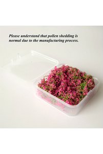 Related product image Choice Decorative Object & Figurine