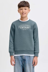 Related product image Jack & Jones Junior Sweatshirts
