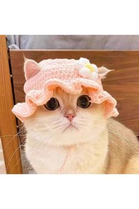 Related product image Choice Cat Accessories