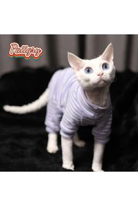 Related product image Choice Dog Clothes