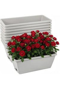 صورة المنتج ذات الصلة GENERAL مزهريات