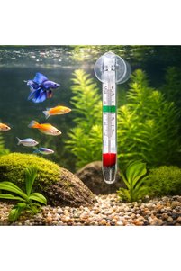 Related product image OEM Bird Toys