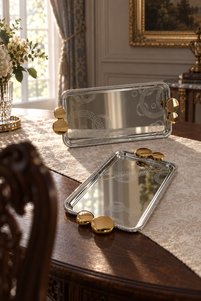 Related product image ACAR Tray