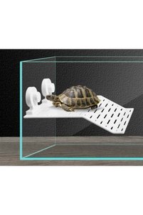 Related product image Generic Decorative Object & Figurine