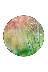 Related product image Generic Decorative Object & Figurine