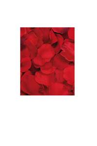 Related product image Generic Artificial Flowers
