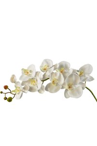 Related product image Generic Artificial Flowers