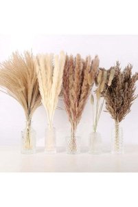 Related product image Generic Vase