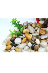 Related product image Generic Vase