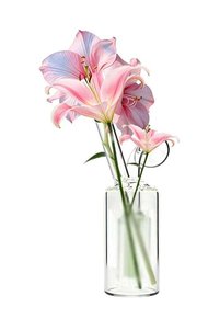 Related product image Generic Vase