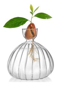 Related product image Generic Vase