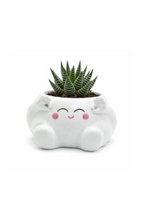 Related product image Generic Decorative Object & Figurine