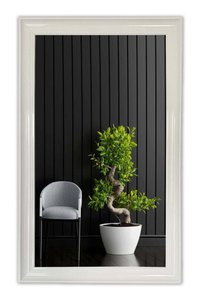 Related product image Generic Mirror