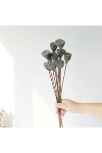 Related product image Generic Vase