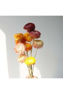 Related product image Generic Vase