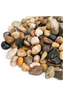 Related product image Generic Vase