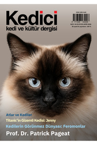İlgili ürün resmi Edebiyat Dergisi