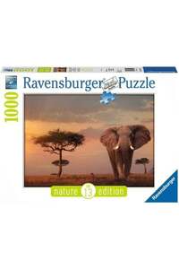 Related product image Generic Other Toys