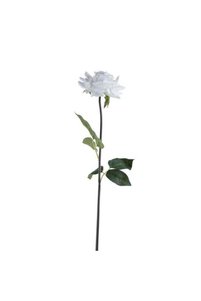 Related product image Generic Decorative Object & Figurine