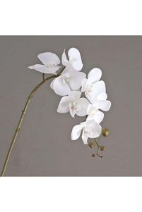 Related product image Generic Artificial Flowers