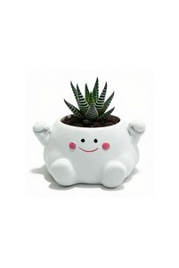 Related product image Generic Decorative Object & Figurine