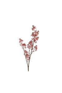 Related product image Generic Decorative Object & Figurine