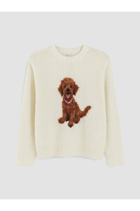 Related product image LC Waikiki Sweaters