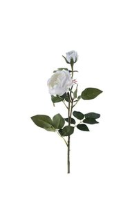 Related product image Generic Vase