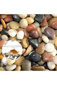 Related product image Generic Vase