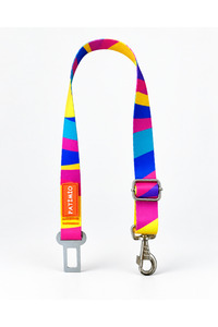 Related product image PATİMİO Dog Collars