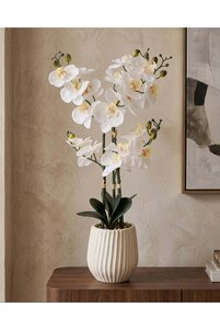 Related product image REDTAG Vase