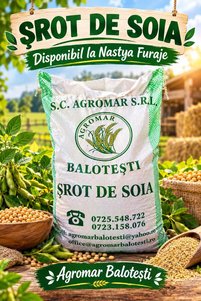 Imaginea produsului asociat Hrană păsări