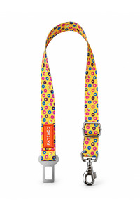 Related product image PATİMİO Dog Collars