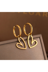 Related product image Choice Steel Earrings