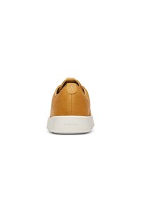 Related product image Allbirds Sneakers