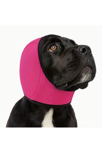 Related product image Choice Dog Accessories