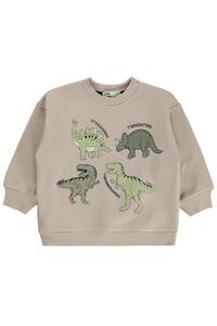 Related product image Civil Boys Sweatshirts
