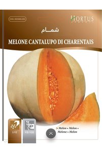 صورة المنتج ذات الصلة Generic بذور