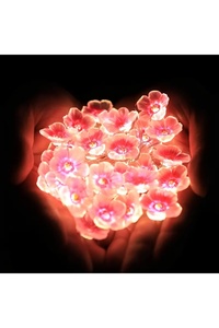 Related product image Choice Led Light